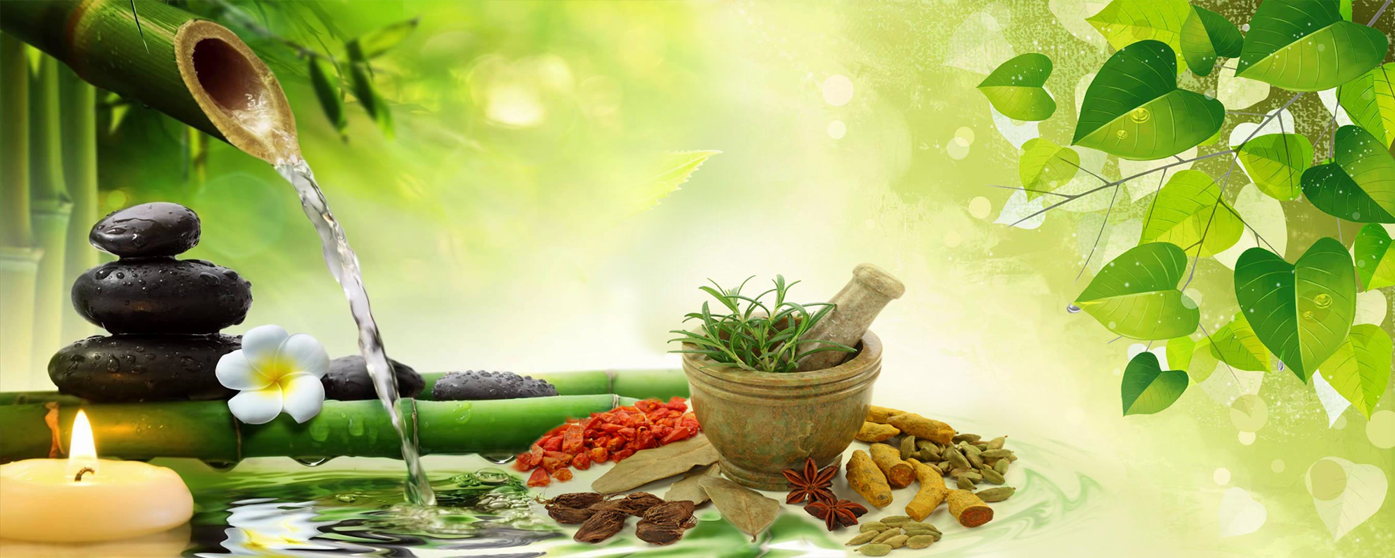 Maa Herbal Natural Ayurvedic Treatment